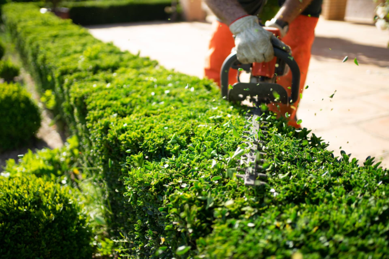 Enhancing Your Property’s Value: Essential Services for Landscape Care