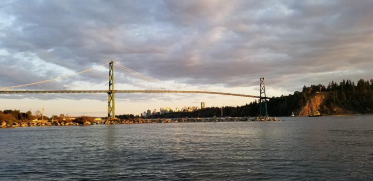Emergency Plumber New Westminster: Quick Solutions When You Need Them