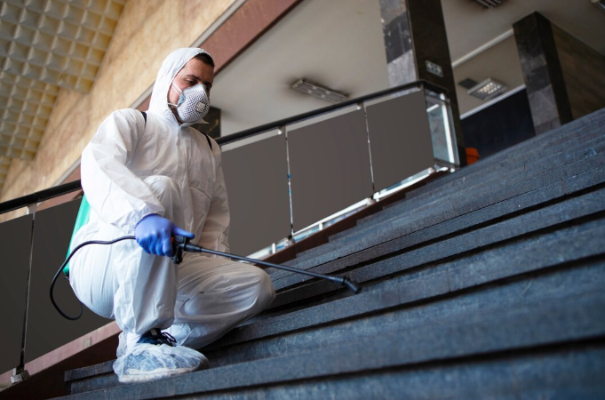 Why Timely Mold Remediation is Essential for Property Preservation
