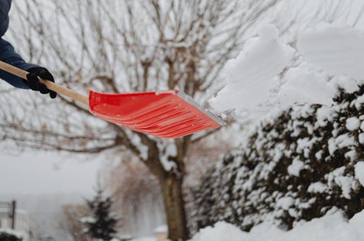 5 Top Outdoor Services Every Homeowner Needs