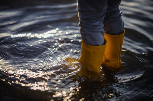 What is Water Damage Restoration and Why is it Important for Your Home